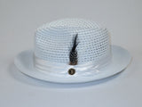 Men's Summer Spring Braid Straw style Hat by BRUNO CAPELO JULIAN JU901 White